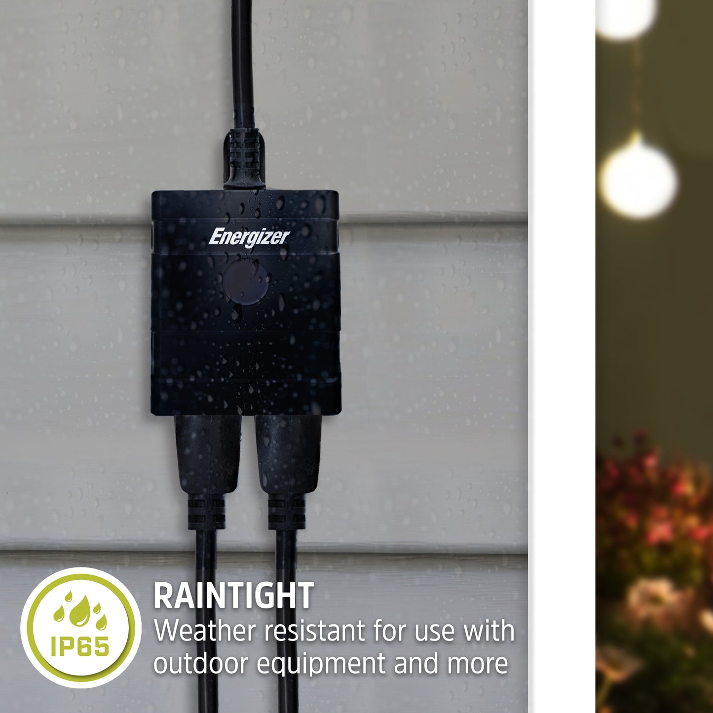 Smart Outdoor Remote Access 2 Plug